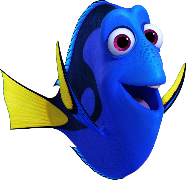 Dory